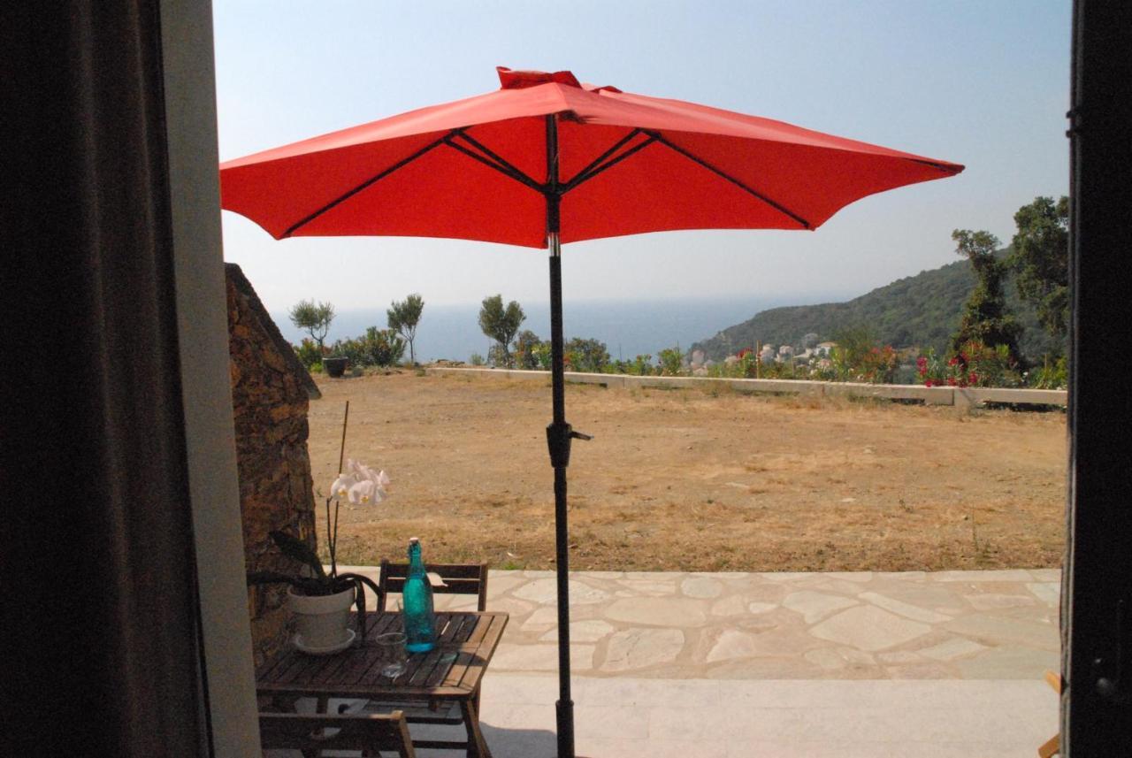 Appartement Vue Sur Mer Santa-Maria-di-Lota エクステリア 写真