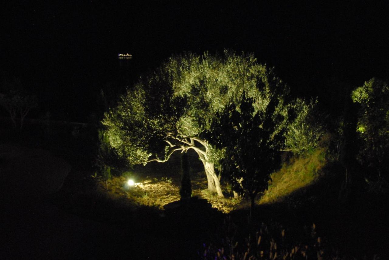 Appartement Vue Sur Mer Santa-Maria-di-Lota エクステリア 写真