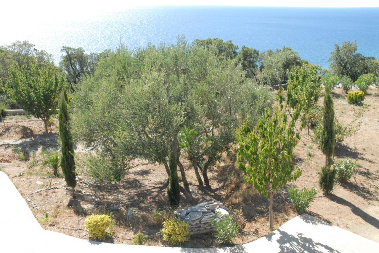 Appartement Vue Sur Mer Santa-Maria-di-Lota エクステリア 写真