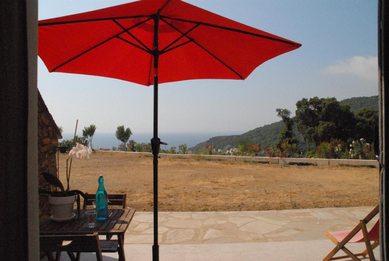 Appartement Vue Sur Mer Santa-Maria-di-Lota エクステリア 写真