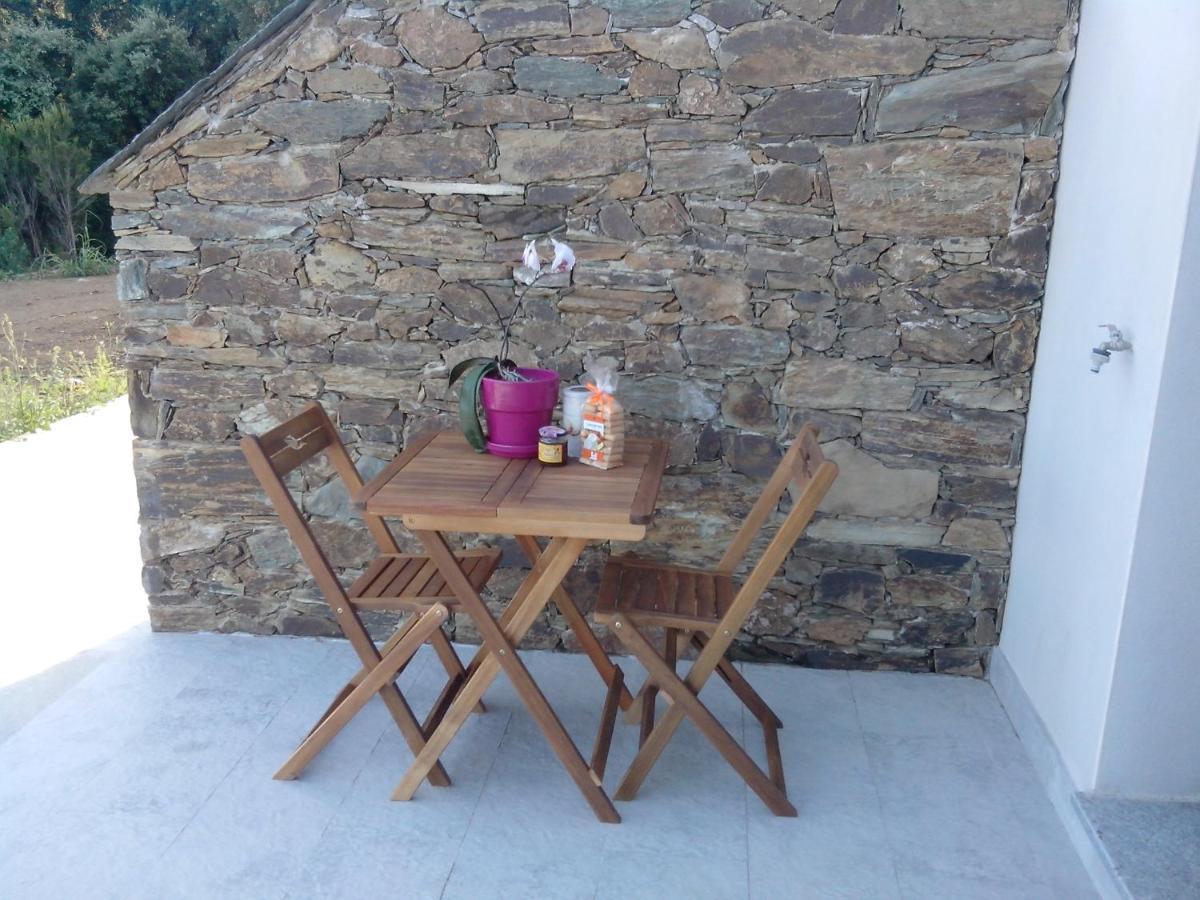 Appartement Vue Sur Mer Santa-Maria-di-Lota エクステリア 写真