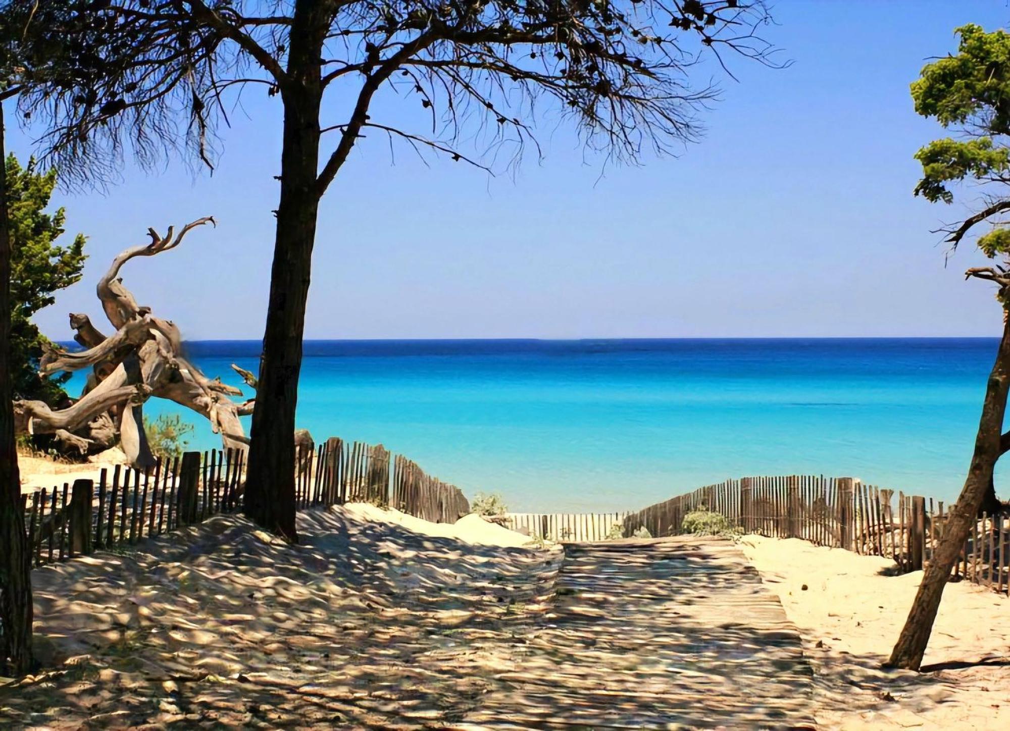 Appartement Vue Sur Mer Santa-Maria-di-Lota エクステリア 写真
