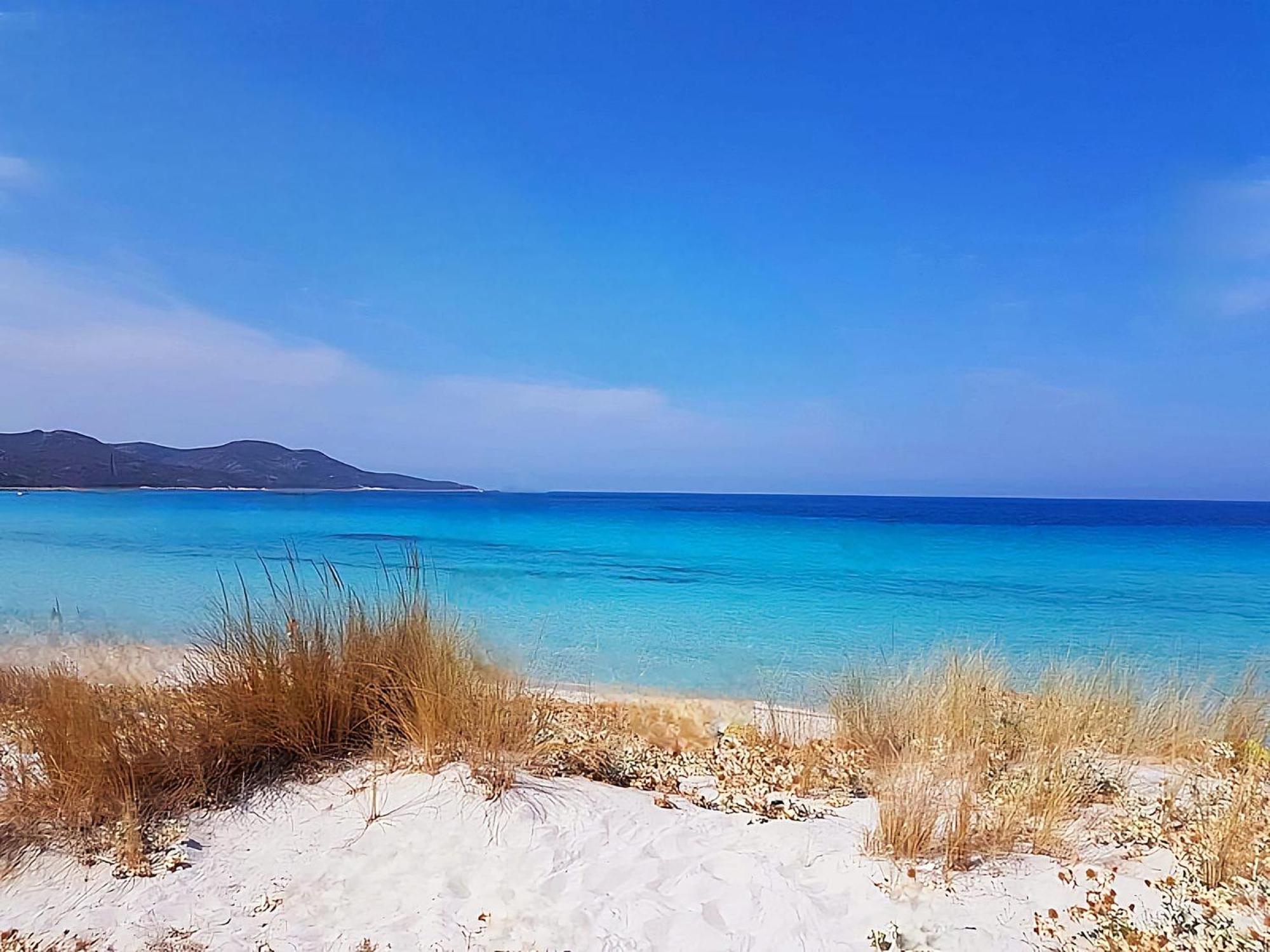 Appartement Vue Sur Mer Santa-Maria-di-Lota エクステリア 写真